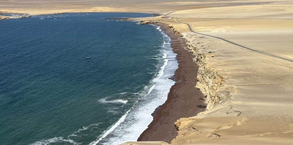 Reserva Nacional de Paracas